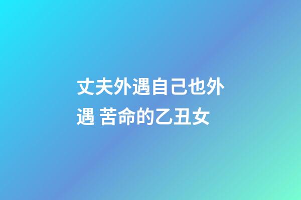 丈夫外遇自己也外遇 苦命的乙丑女